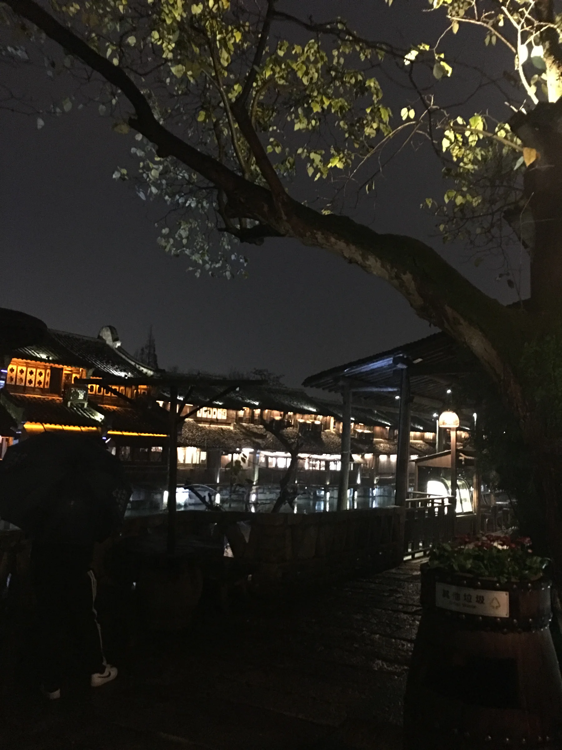 IMG 3931 2