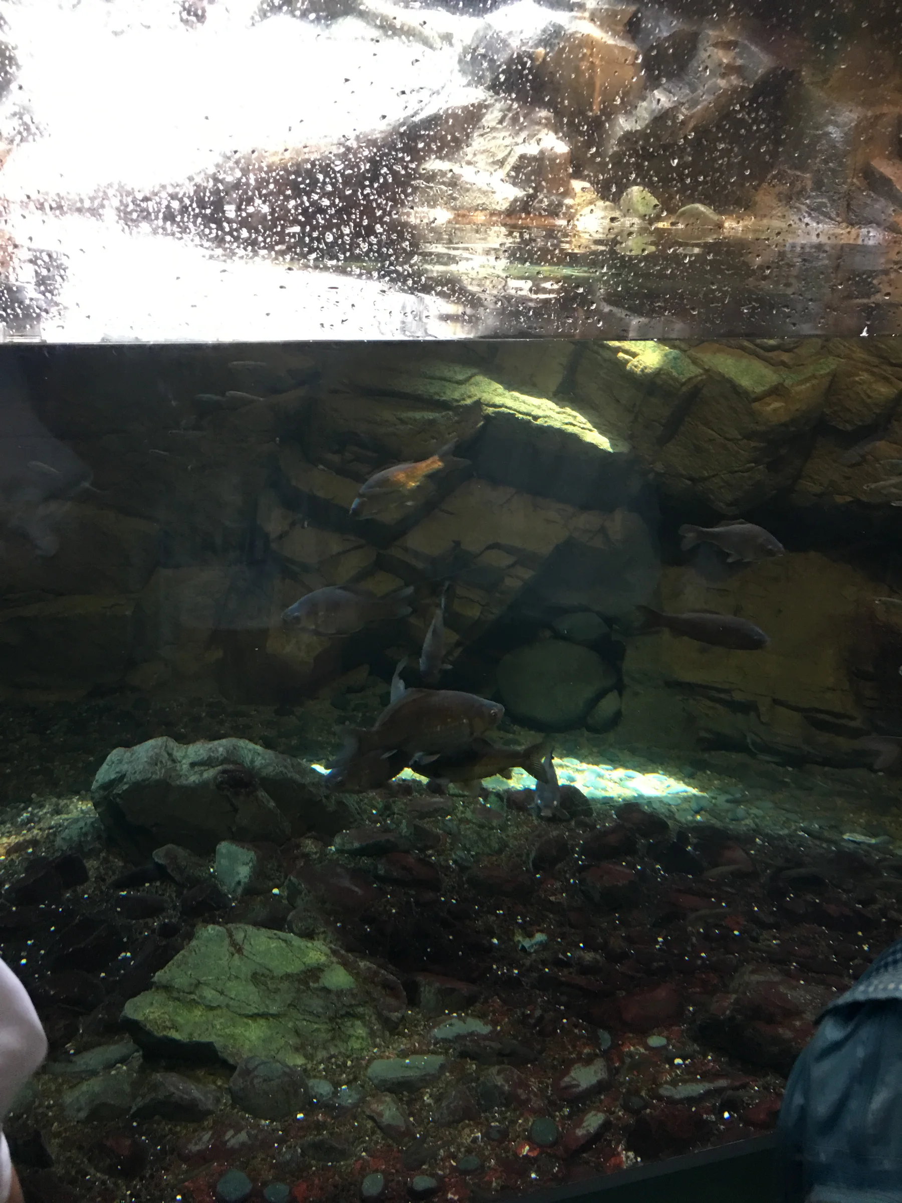 IMG 1610 2