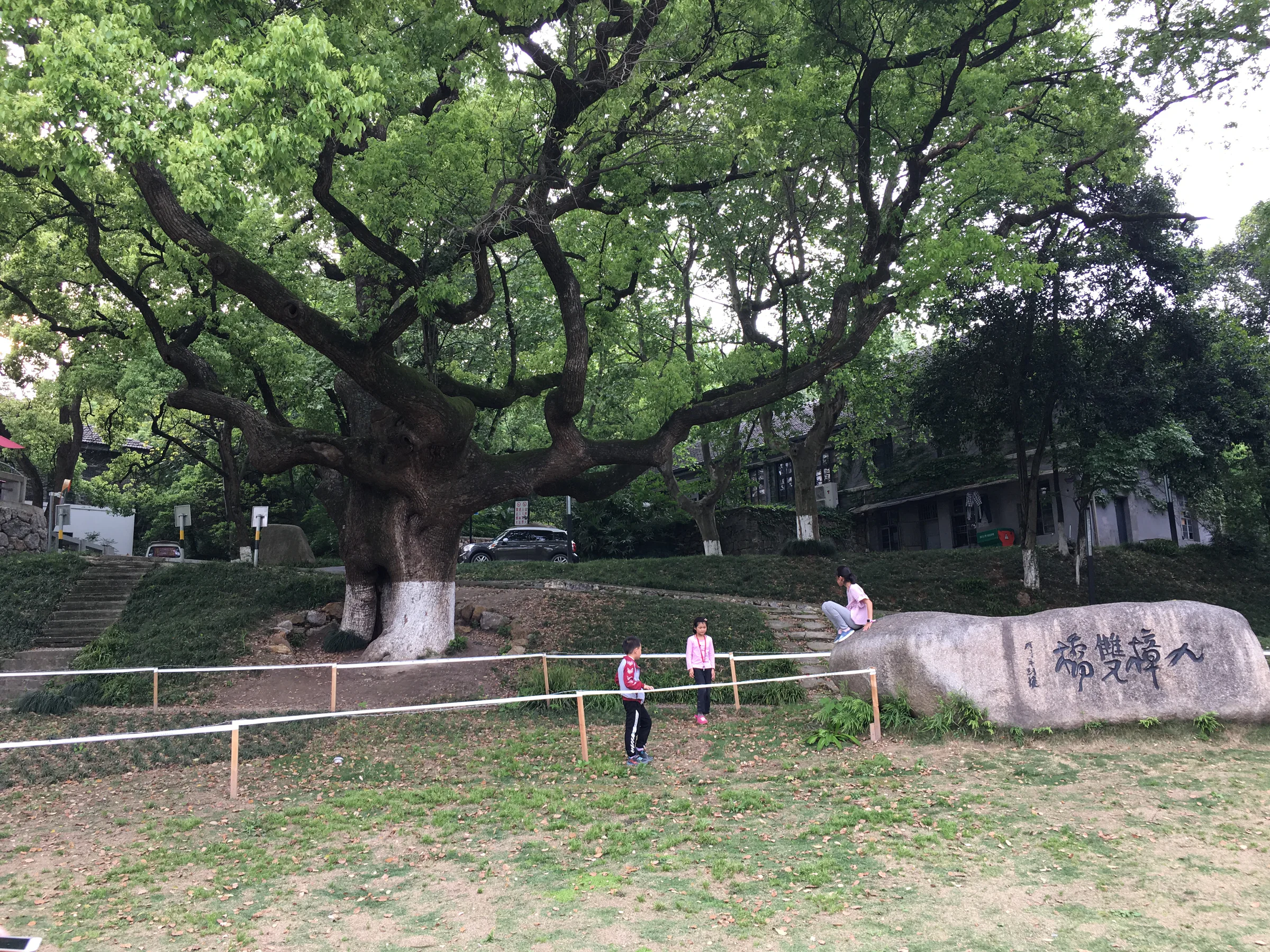IMG 1305 2