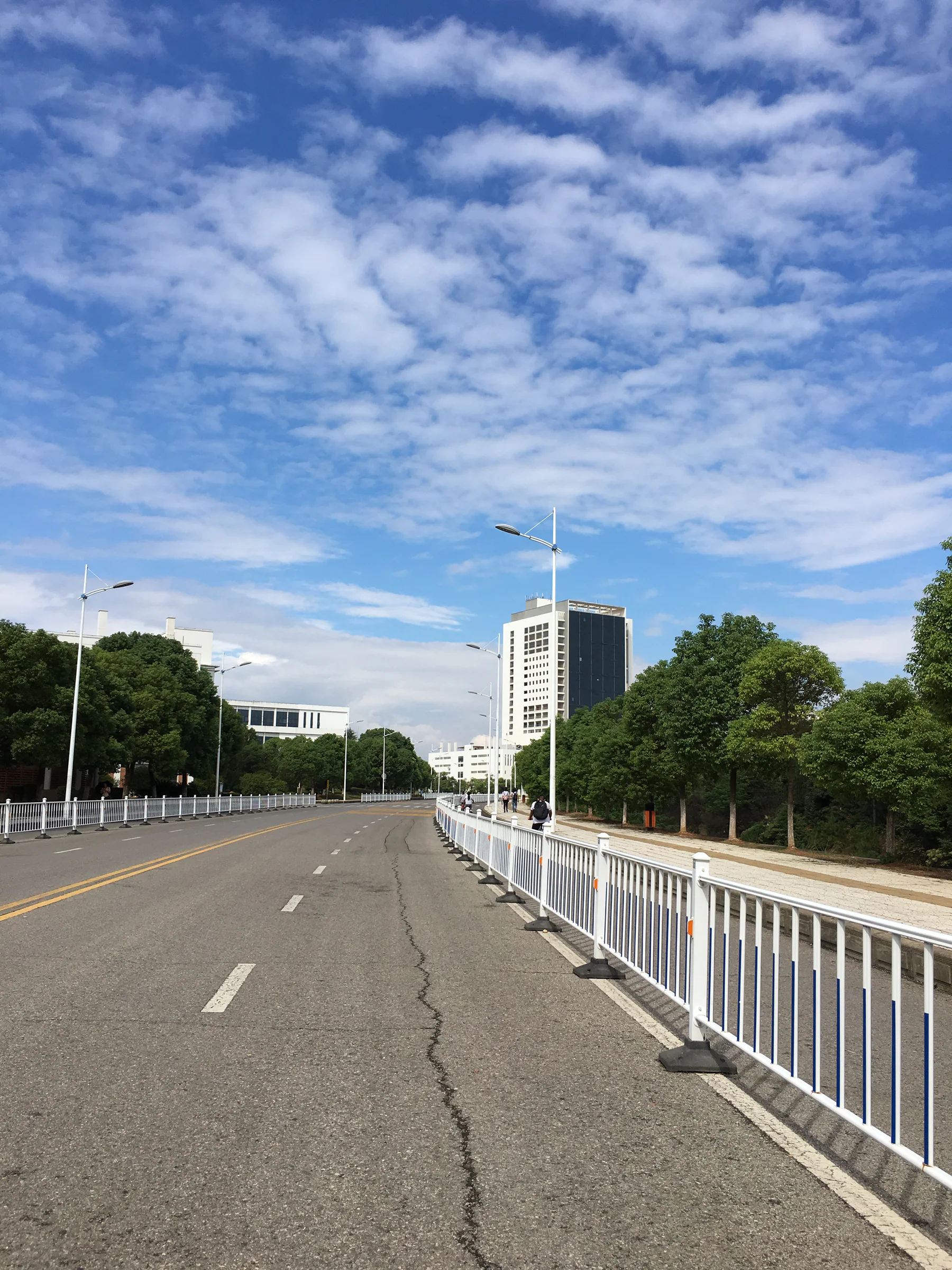 IMG 0683 2
